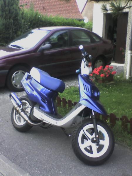 scoot de teddy avent